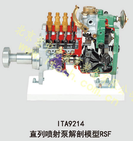 直列喷射泵解剖模型（RSF）